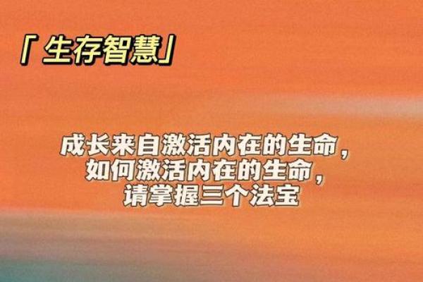 命杖之碎与金鱼命的深刻解读：探寻内心的力量与命运之舞