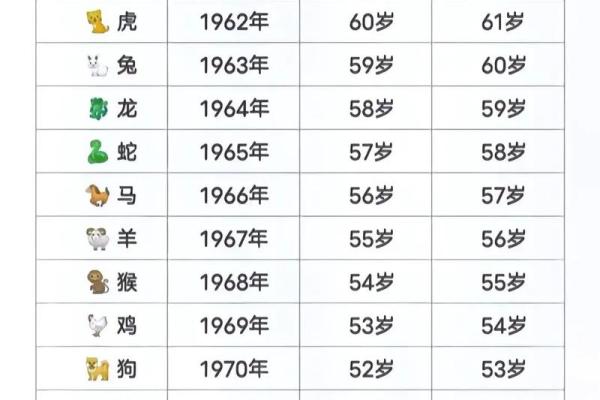 查找你的命运与缺失：2019年生肖运势全面解析