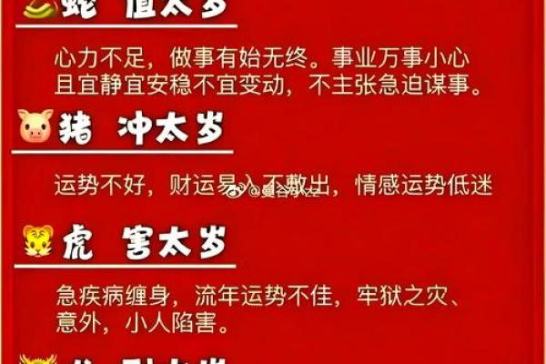 2008年属猪人的命运与性格分析：幸福、乐观与挑战并存