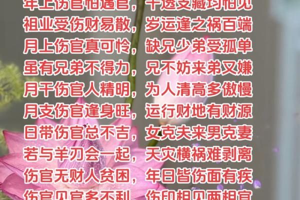 伤官格女命与男命的最佳配对探讨