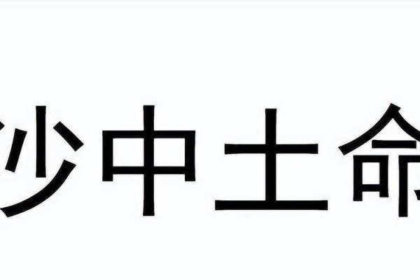 沙中土命的人生揭秘：如何把握运势与机遇