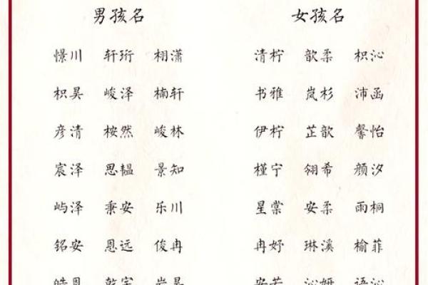 卯兔命理解析：2011年出生的兔宝宝命运与性格特点探讨