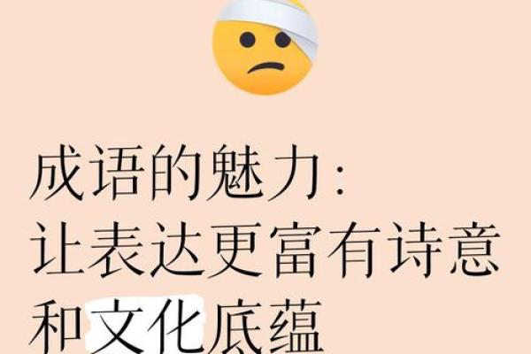 乐在其中，乐无穷：成语背后的乐趣与智慧