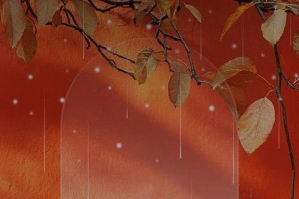 探索桃花坐命：揭开命理之美，明晰人生之道！