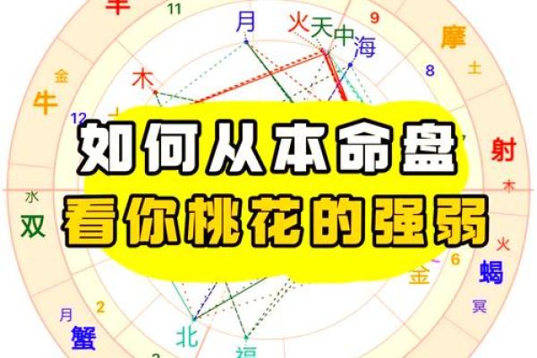 探索桃花坐命：揭开命理之美，明晰人生之道！