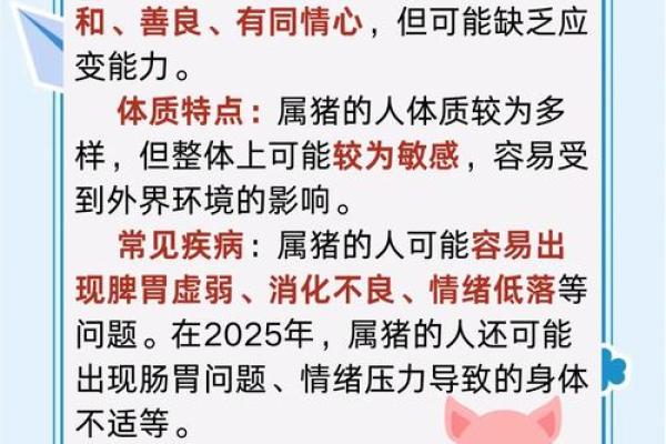 属猪命五行缺金，这种命格的独特命运与调理方法探讨