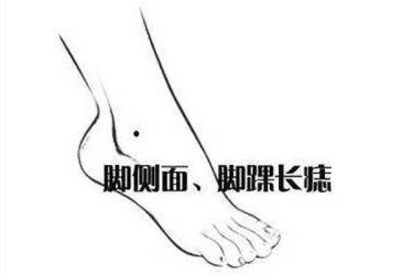 玉堂星女生的命运解析：揭秘命理背后的秘密与智慧