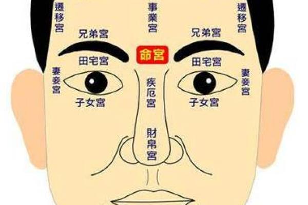 后颈发际线与命运：揭秘面相中的财富与运势秘密