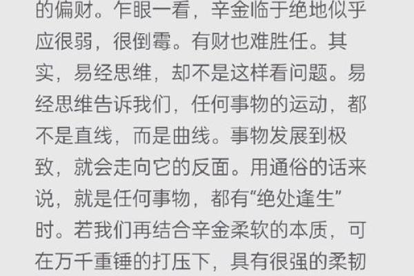 二零一七年属鸡的命理解析与生活指南，共同探索这一年所蕴含的智慧与挑战
