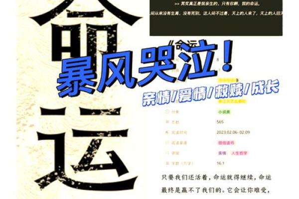 命运如丝，人生如织：追寻幸福的丝路旅程