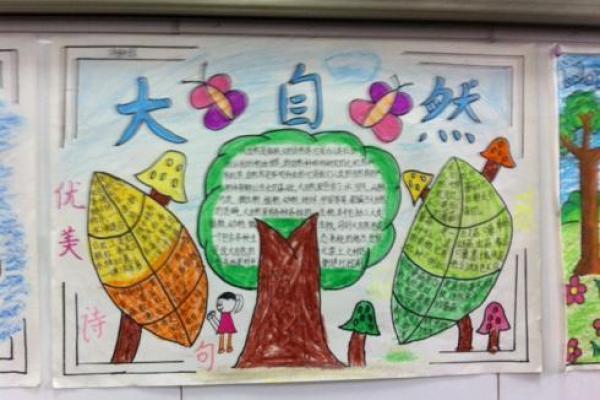 探索名字的奥秘：揭秘“31划”命运之谜