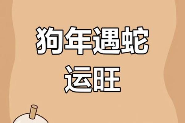 2022年属狗人的命运解析：机遇与挑战并存的年度运势