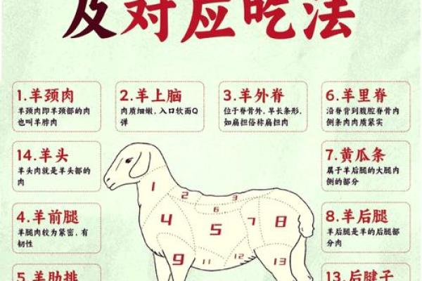 2015年羊年命运何方：探索羊属人的性格与生活智慧
