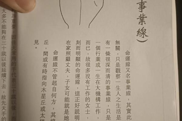 手相揭秘：如何通过手相了解自己的命格与人生轨迹