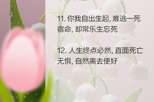 揭开九五年女命适配命格的神秘面纱：寻找最佳缘分之路