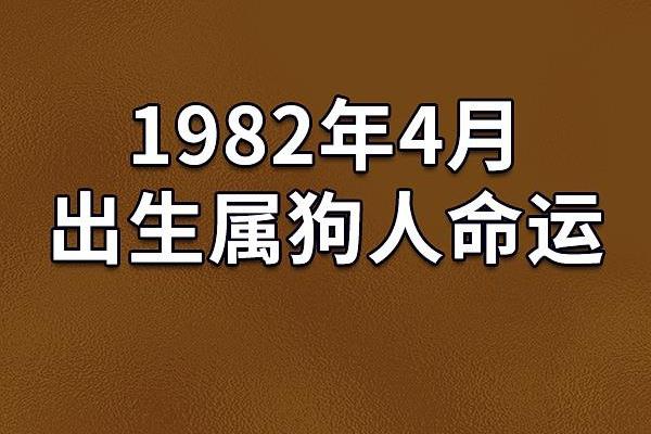1982年出生的男性：命理解析与人生启示