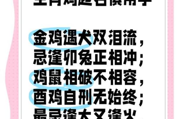 1978年鸡的命运与运势探讨：解读生肖背后的深意