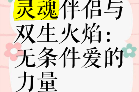 霹雳火男命与女命的最佳组合指南：寻找心灵的伴侣之旅