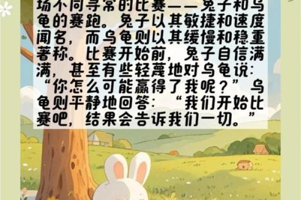 属鸡兔吃草的命理解析：鸡兔相遇，命运交织，草原上的故事