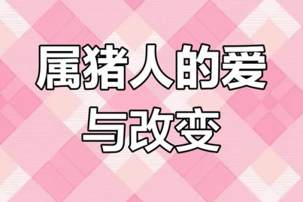2007年属猪：命运与性格揭秘，开启人生新篇章！