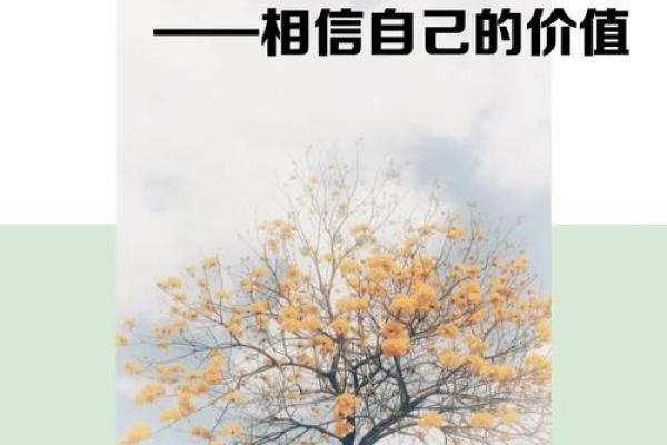 佛爷一命换一命：探索生命的价值与牺牲