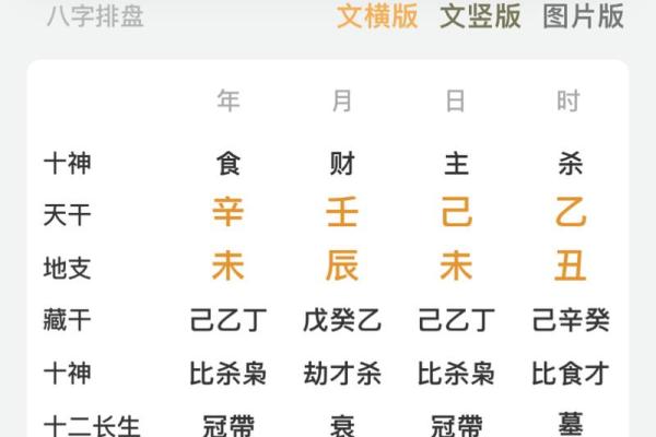 辛未年乙未月的命理解析与人生启示