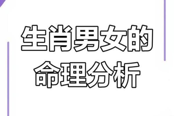 28岁属什么生肖命运解析，探讨命理与人生的关联