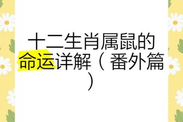 属鼠人农历十四的命理解析与生活指导