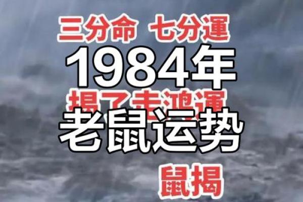 属鼠人农历十四的命理解析与生活指导