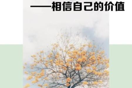 佛爷一命换一命：探索生命的价值与牺牲