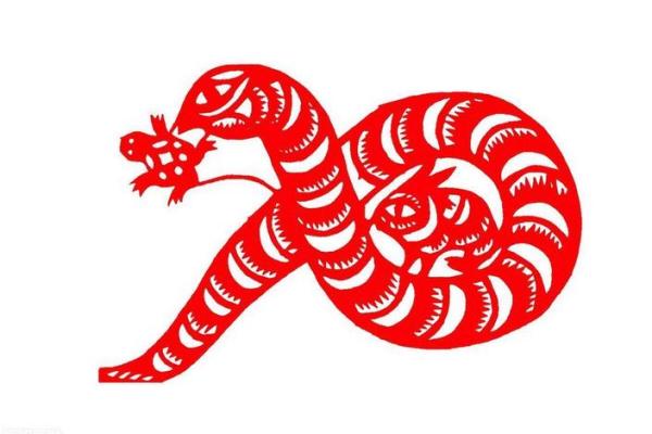 属蛇的人究竟是金命还是其他命？揭开神秘面纱！