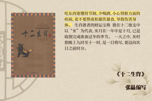 1995年的生肖命：温柔的猪与智慧的生活艺术