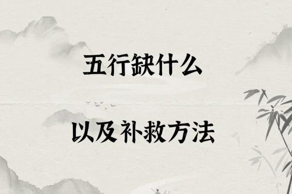 揭秘五行命理：男命中的元素与人生之路