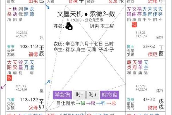 解读女命中贪狼星的深意与象征