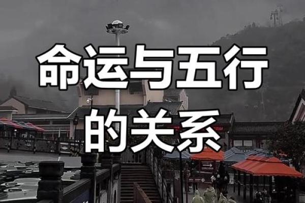 命理学解读：如何通过命理判断命运走势与人生轨迹