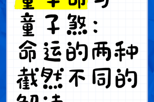 中午11点出生的人命运解析：揭示命运背后的秘密与智慧