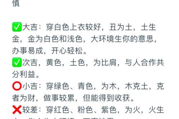 属狗水命的你，如何选择适合的配饰与护身符？