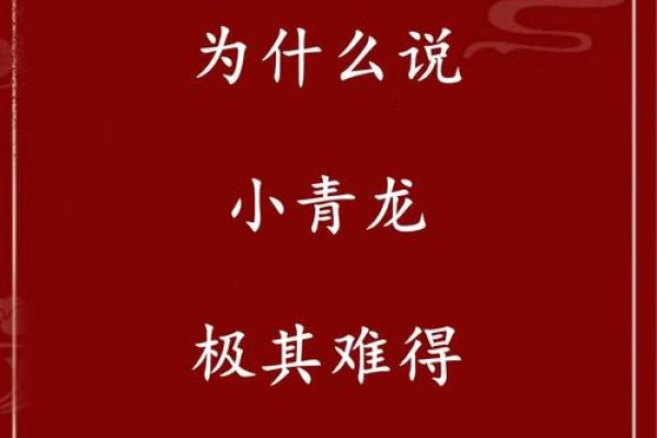 2024青龙年命理解析：你应该如何把握命运与机遇？