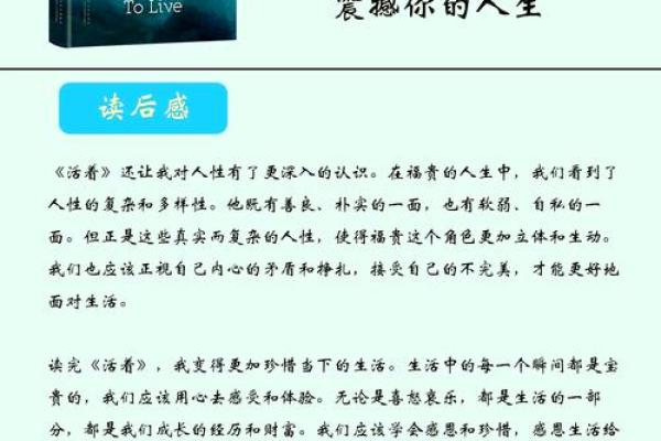 每个人都有三条命，探索生命的深刻寓意和意义