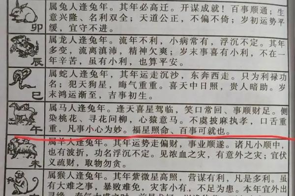 2023兔年运势解析：了解兔年命缺与补救之道