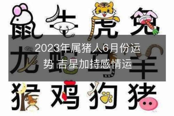 2023年属猪的命运解析：解析生肖猪的财富与情感运势