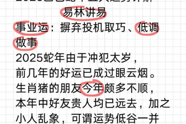 2023年属猪的命运解析：解析生肖猪的财富与情感运势