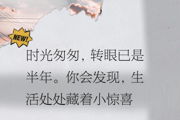 时光流转中的半命格：岁月的隐秘与感悟