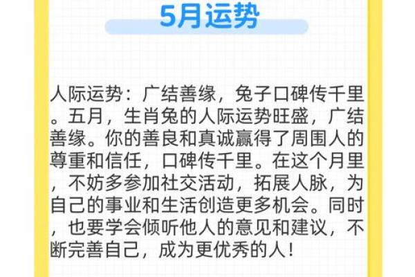 兔年出生的命运解析：从五行看兔年的独特体质与发展趋势