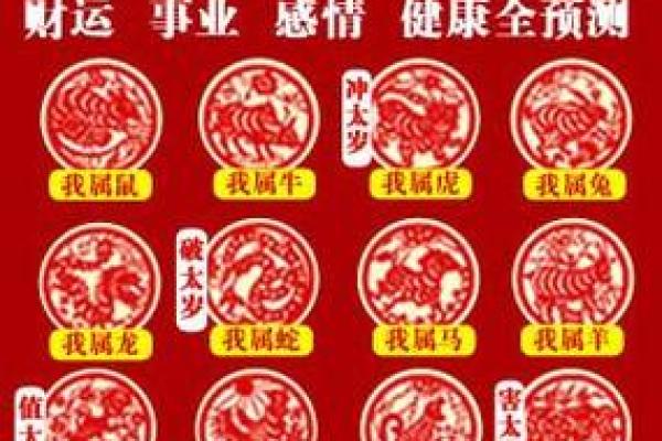 2013年运势解读：命中的展望与启示