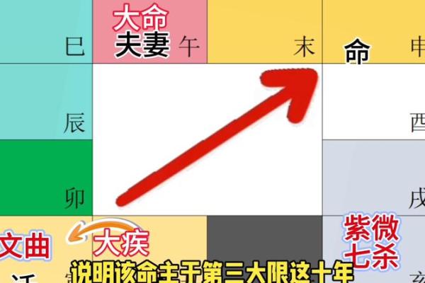 1944年属什么命局？揭秘其命运与性格特征！
