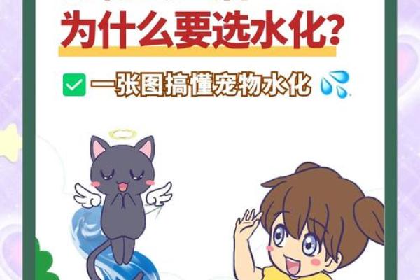 溪水命的人适合养哪些宠物？解析那些与水相关的可爱伙伴
