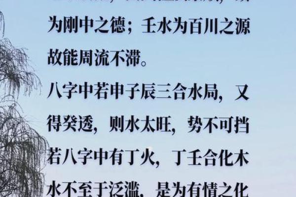 一九九六年水命之人：探寻水的智慧与力量