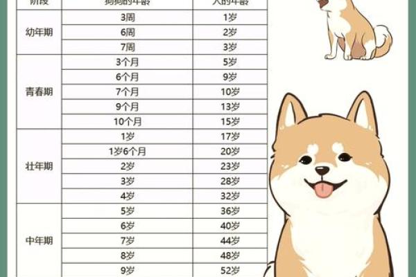 虚岁四十属狗人的命运解析：揭秘狗年人的性格与运势！