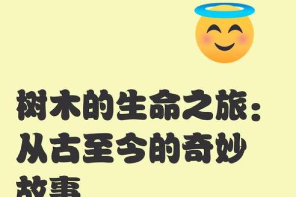 木命女孩的魅力与特点：探寻生命之树的力量与美丽